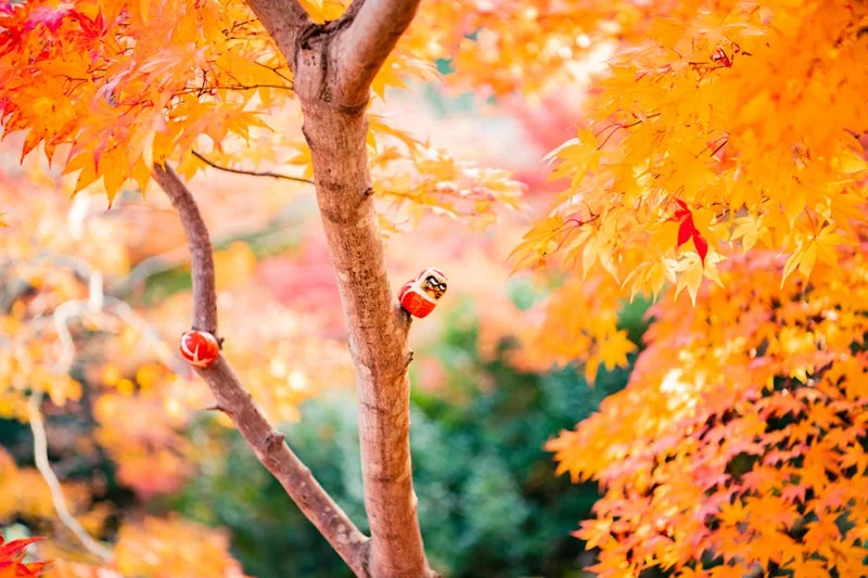 은지원